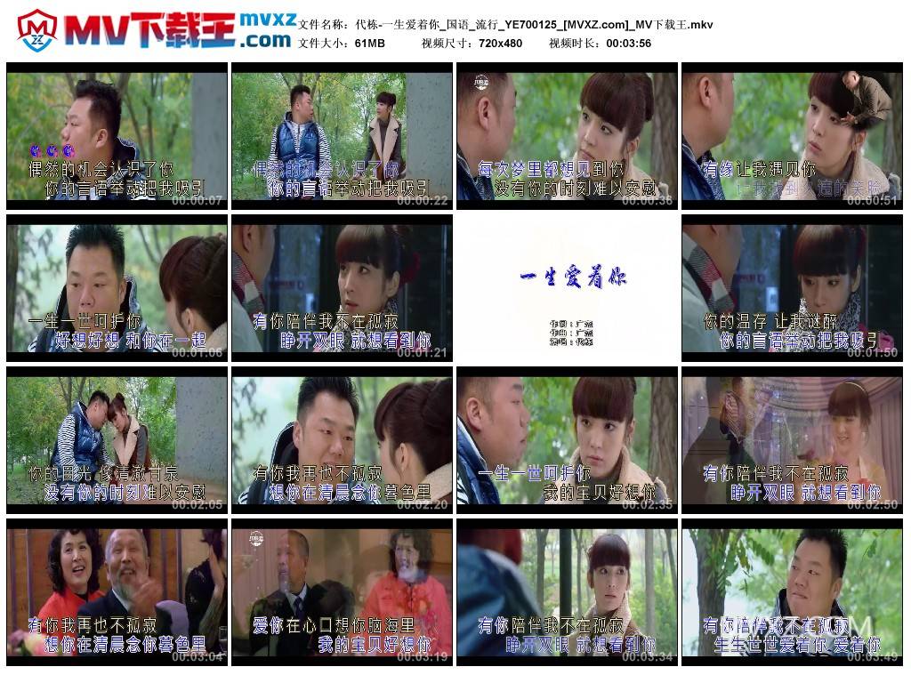 代栋-一生爱着你_国语_流行_YE700125